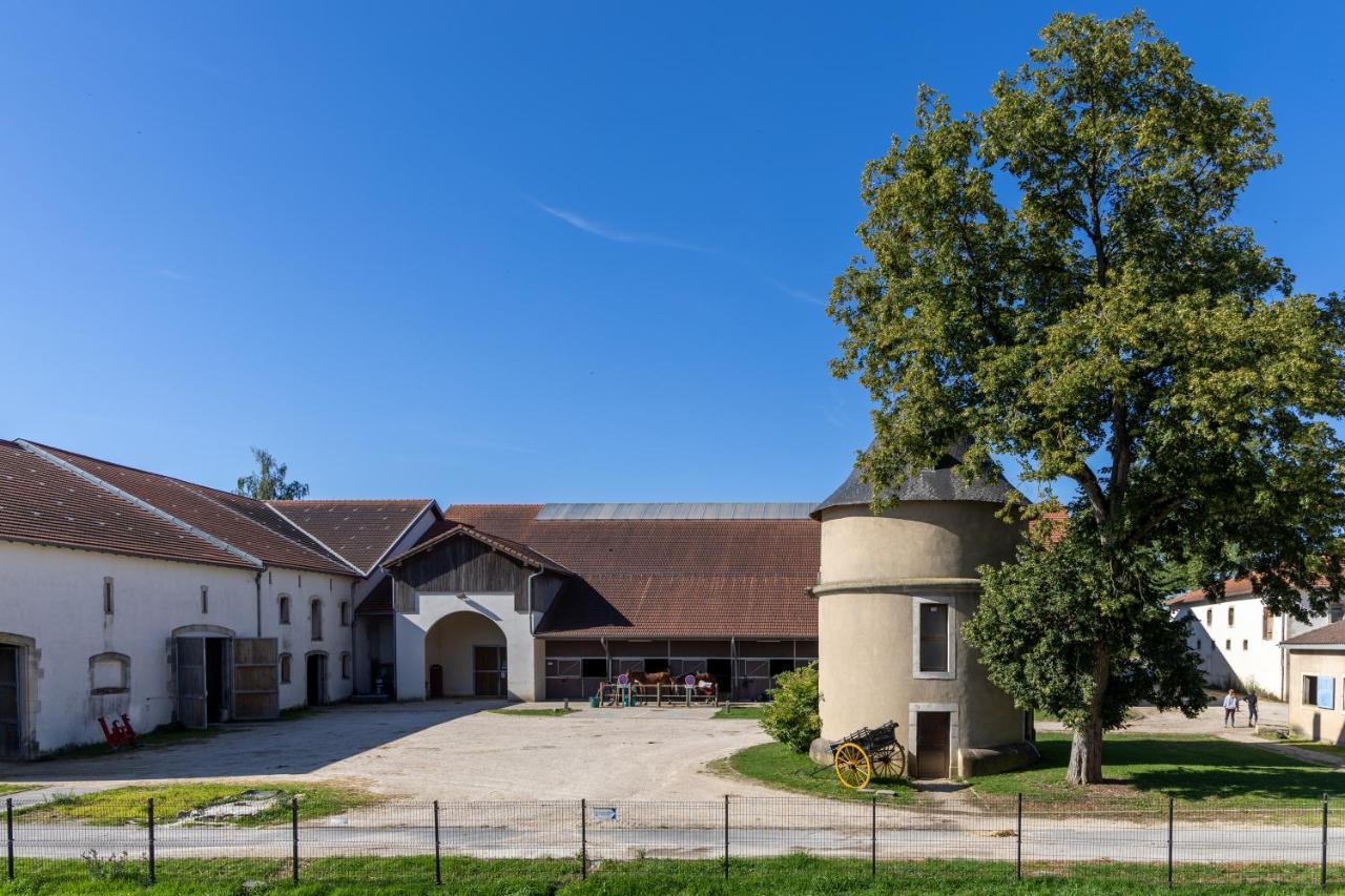 Hotel Du Chateau Villers-les-Nancy Exterior photo